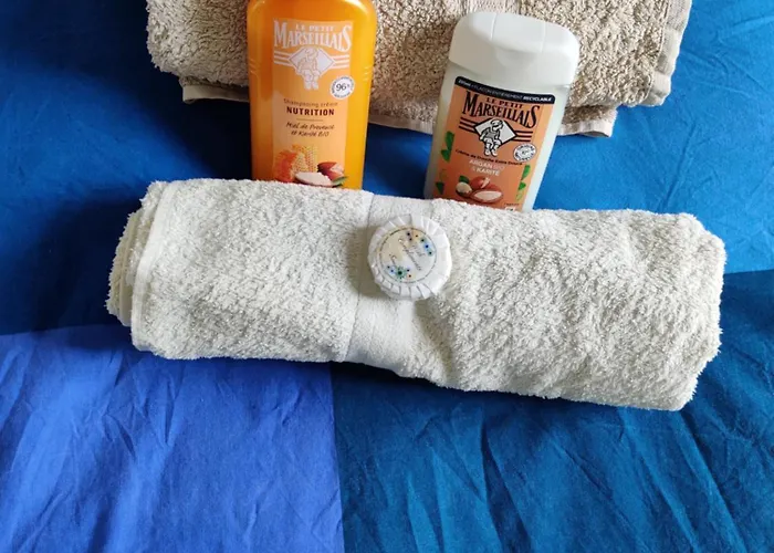 Petit Nid En Alsace Studio Independant Avec Salle De Douche Privative